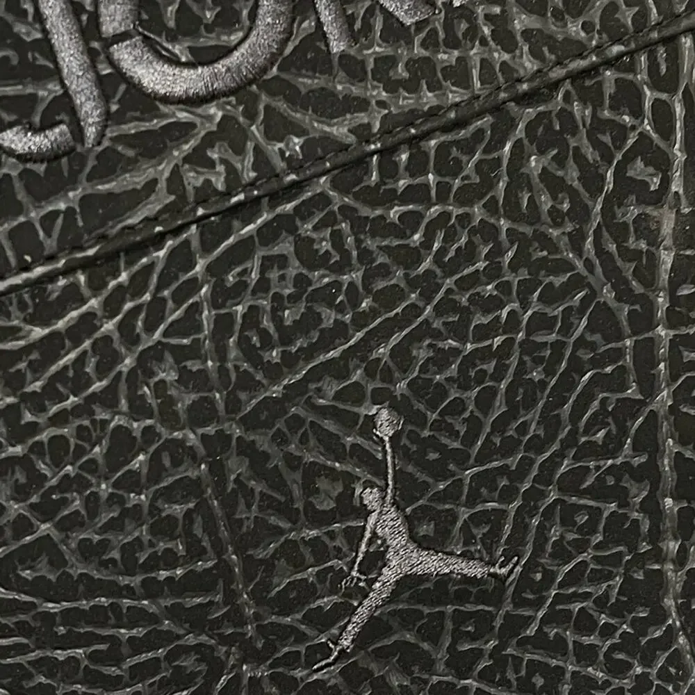 Air Jordan laptop bag elephant print